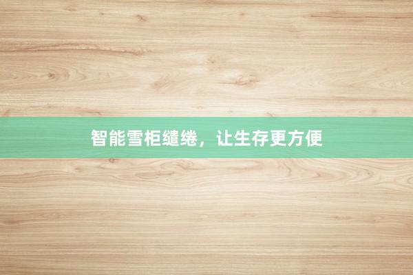 智能雪柜缱绻，让生存更方便